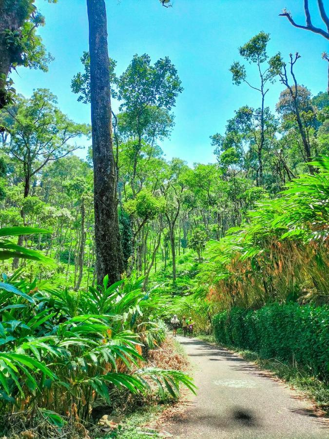 Mystic Mayapott, Thekkady Exteriör bild