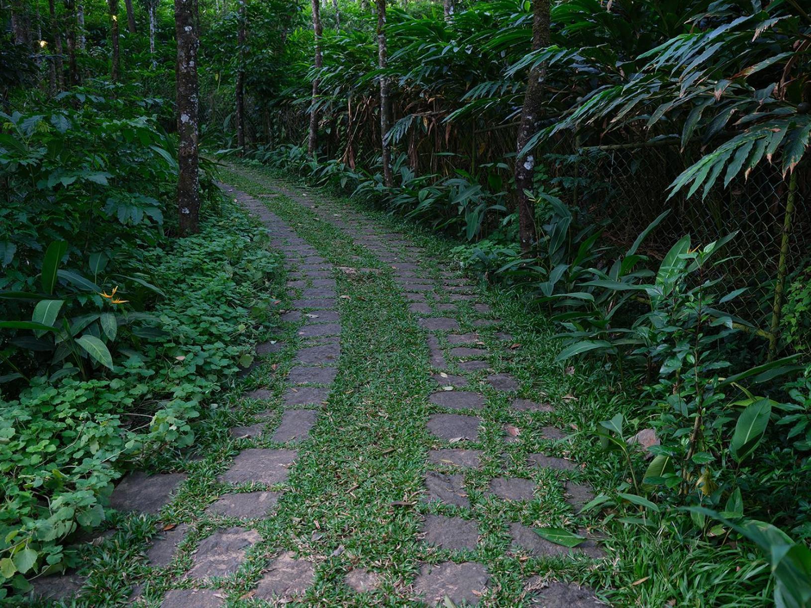 Mystic Mayapott, Thekkady Exteriör bild