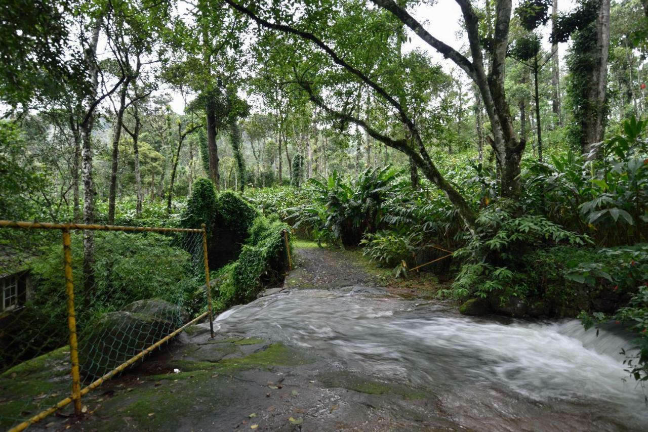 Mystic Mayapott, Thekkady Exteriör bild