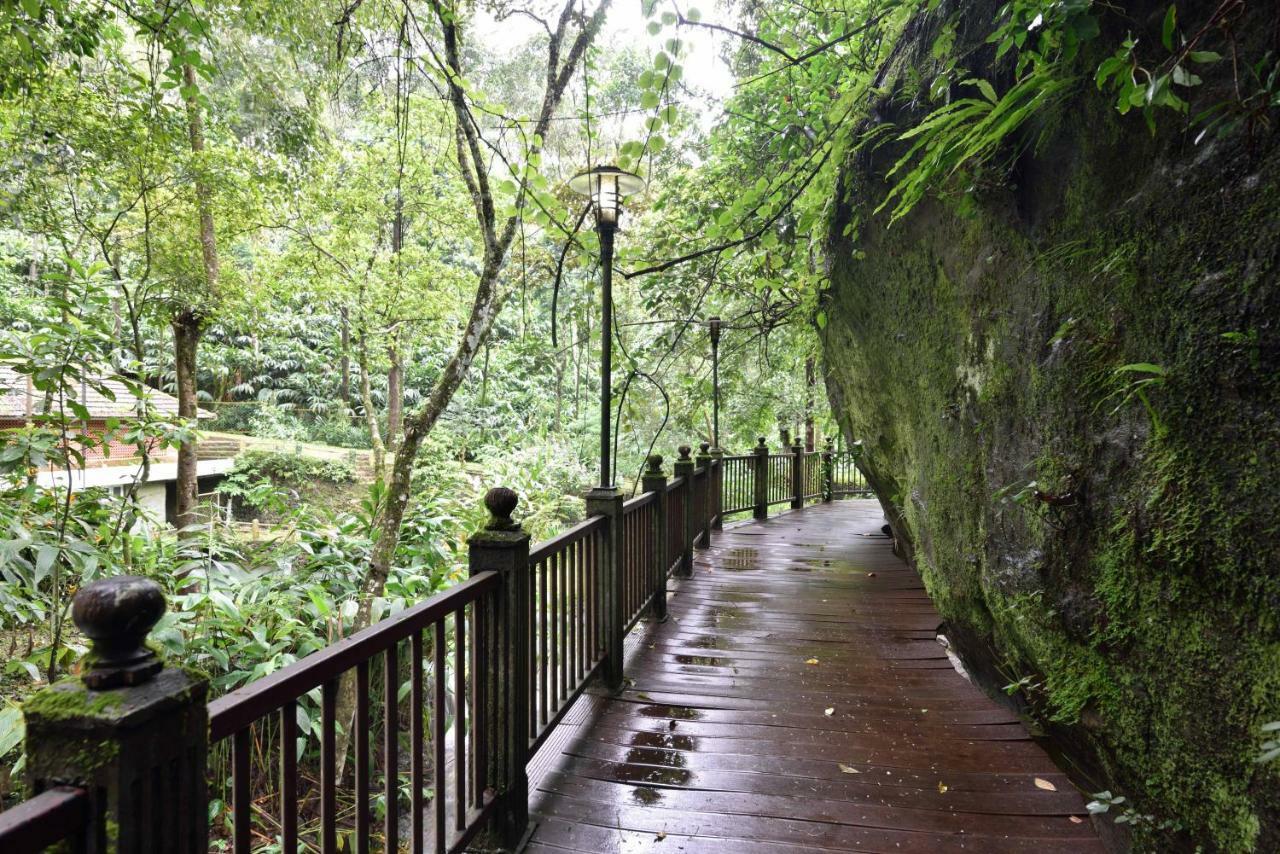 Mystic Mayapott, Thekkady Exteriör bild